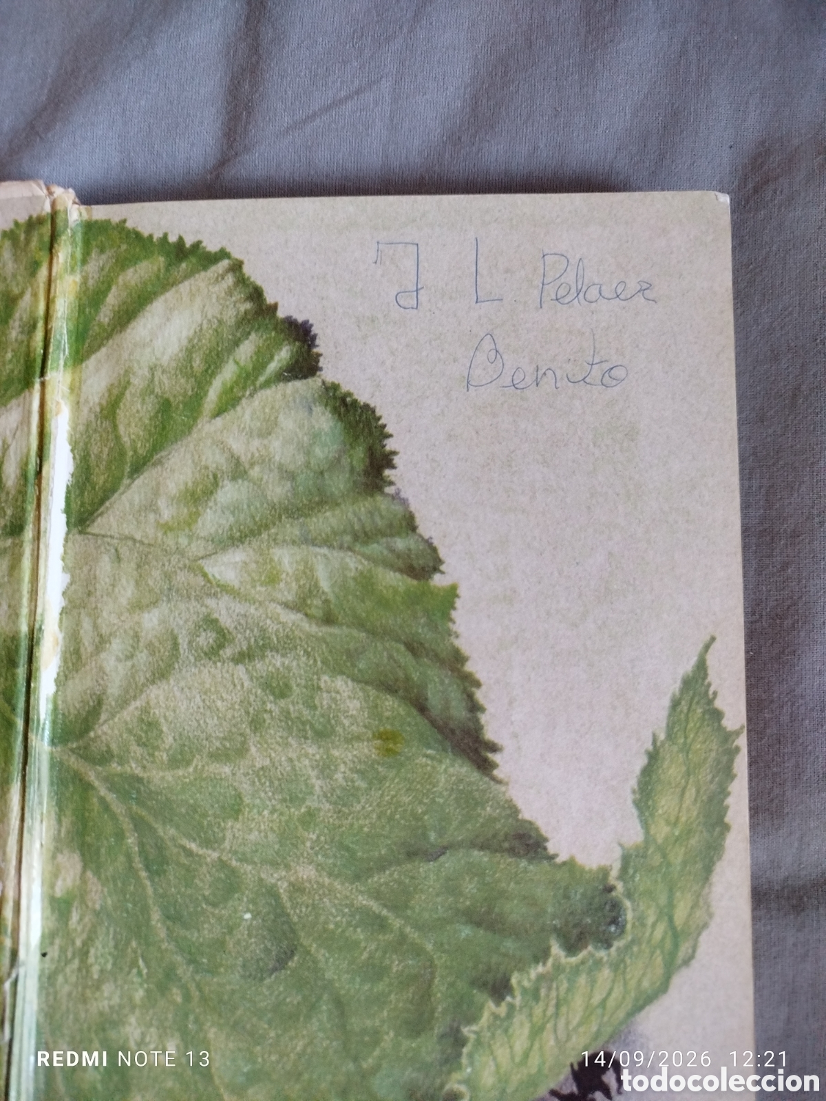 Libros de segunda mano: Cuentos al amor de lumbre I..Anaya - Foto 4