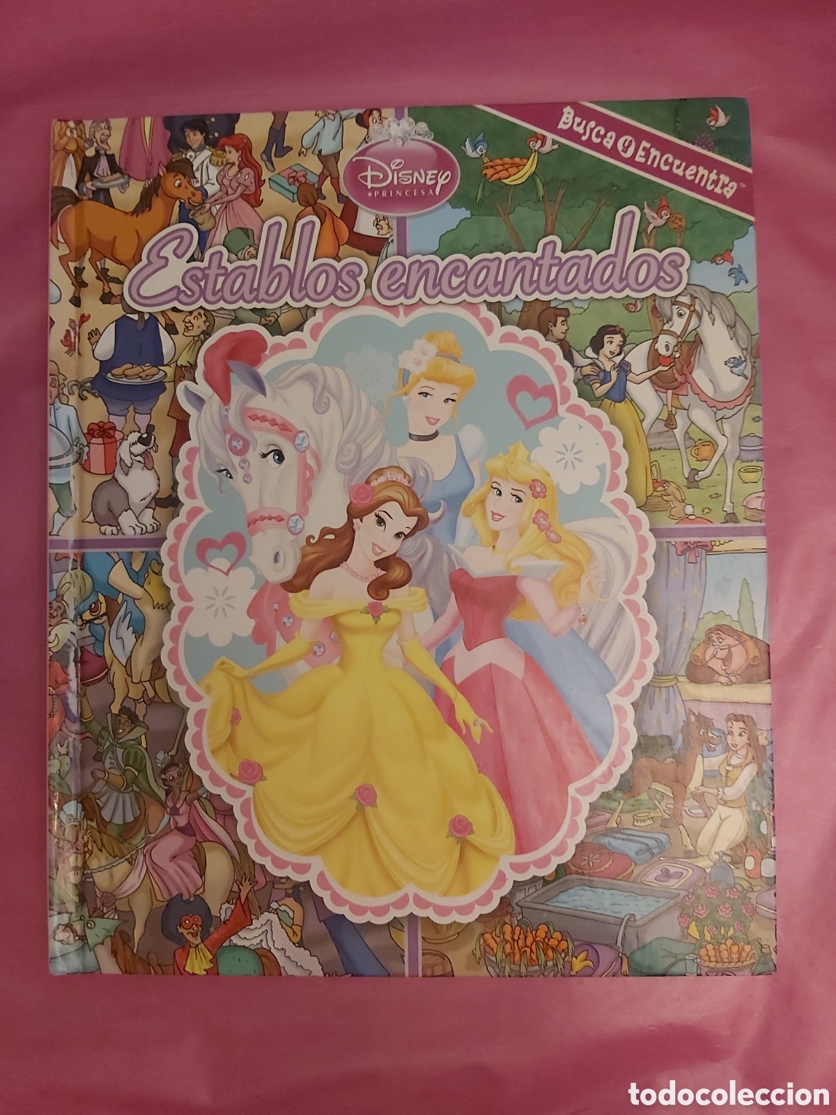 Libros de segunda mano: ESTABLOS ENCANTADOS DISNEY PRINCESA BUSCA Y ENCUENTRA 2002