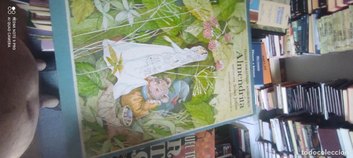 Libros de segunda mano: ALMENDRITA / HANS CHRISTIAN ANDERSEN -DIBUJOS: SUSAN JEFFERS -ED. ASURI