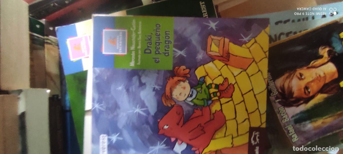 Libros de segunda mano: DRAKI, EL PEQUE&Ntilde;O DRAG&Oacute;N-MERCEDES NEUSCH&Auml;FER-CARL&Oacute;N-ILUSTRACIONES BEATRIZ S&Aacute;EZ-EVEREST-2004.