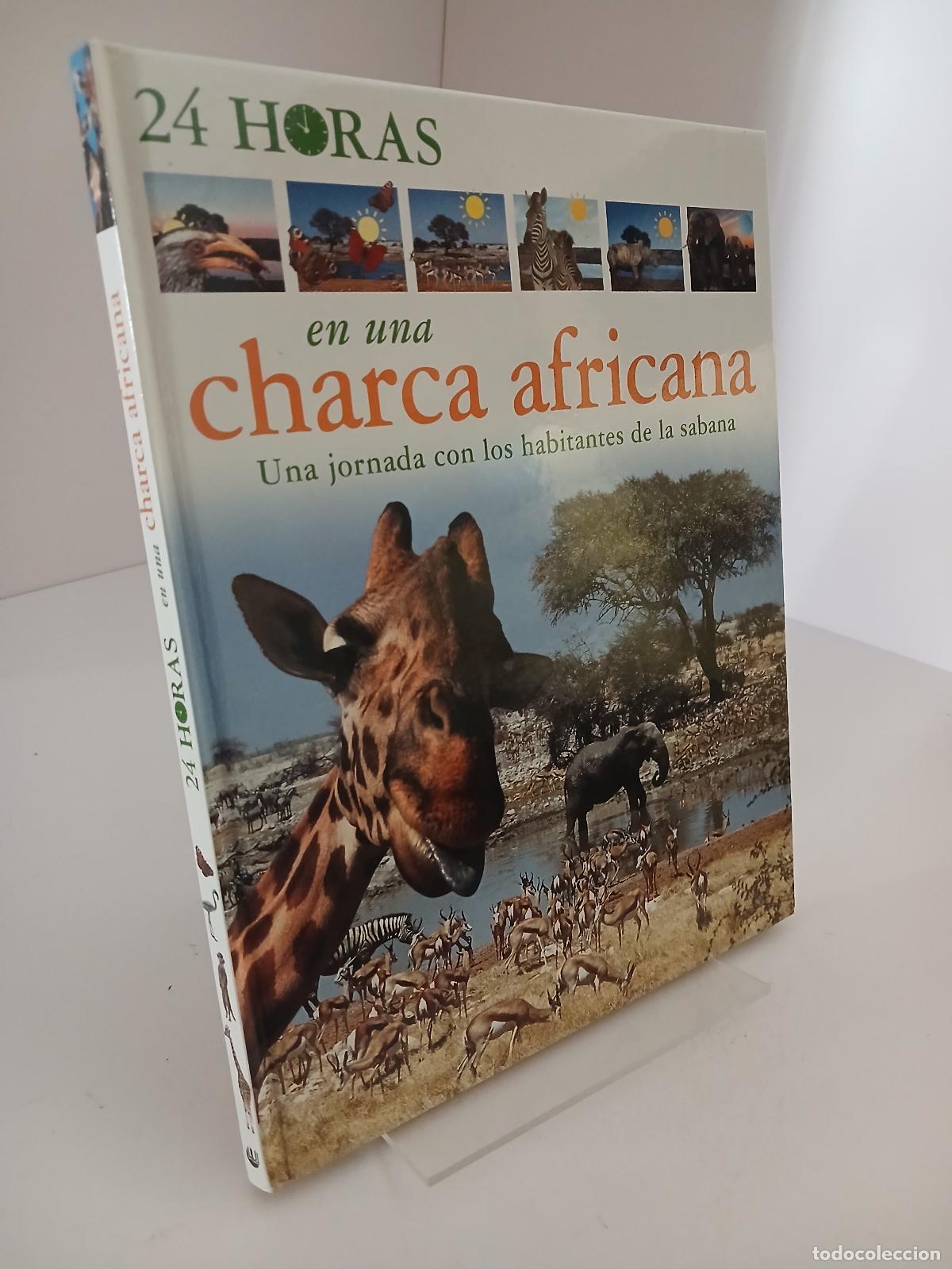 Libros de segunda mano: Veinticuatro horas en una charca africana - unknown author