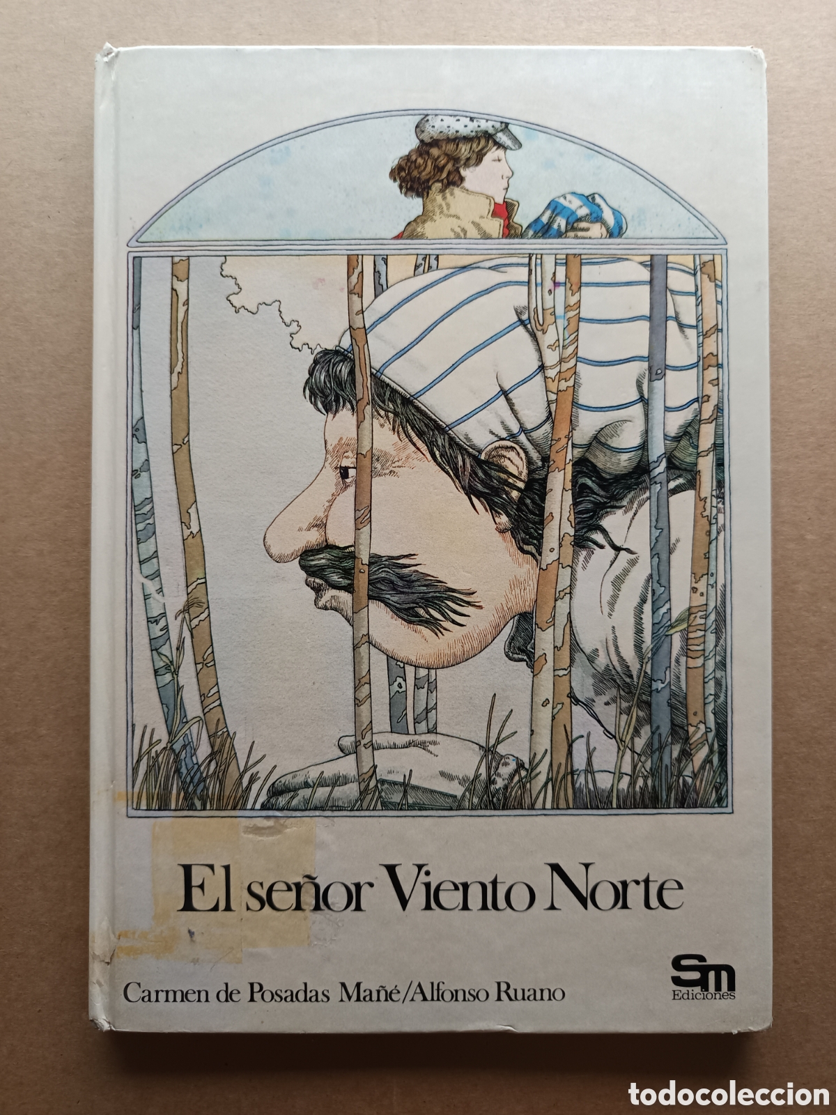 Libros de segunda mano: El Se&ntilde;or Viento Norte, de Carmen Posadas Ma&ntilde;&eacute;/Alfonso Ruano (SM) Cuentos de la Torre y la Estrella