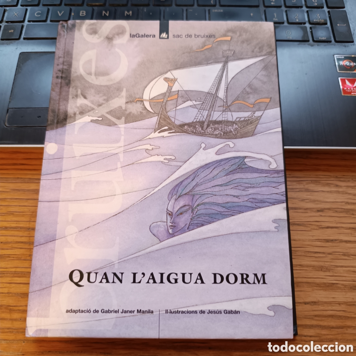 Livres d'occasion: QUAN L'AIGUA DORM - GABRIEL JANER MANILA - JES&Uacute;S GAB&Aacute;N - LA GALERA 1996 - SAC DE BRUIXES 13