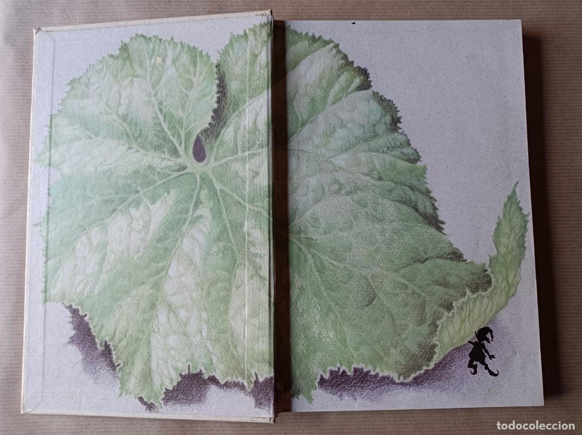 Libros de segunda mano: EL LIBRO DE LA SELVA COLECCI&Oacute;N TUS LIBROS EDICIONES ANAYA - Foto 10