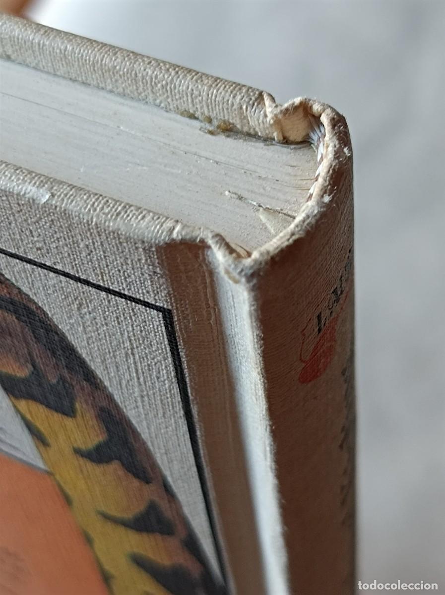 Libros de segunda mano: EL LIBRO DE LA SELVA COLECCI&Oacute;N TUS LIBROS EDICIONES ANAYA - Foto 24