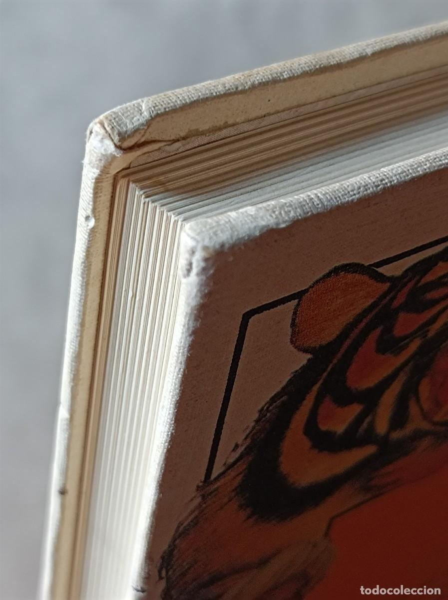 Libros de segunda mano: EL LIBRO DE LA SELVA COLECCI&Oacute;N TUS LIBROS EDICIONES ANAYA - Foto 25