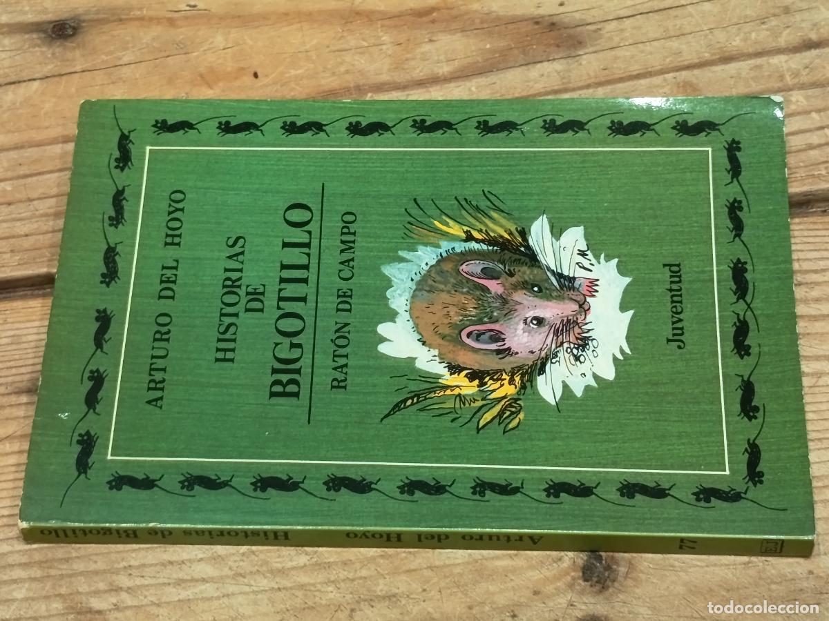 Libros de segunda mano: 1987 - ARTURO DEL HOYO. Historias de Bigotillo, rat&oacute;n de campo - DEDICADO POR EL AUTOR