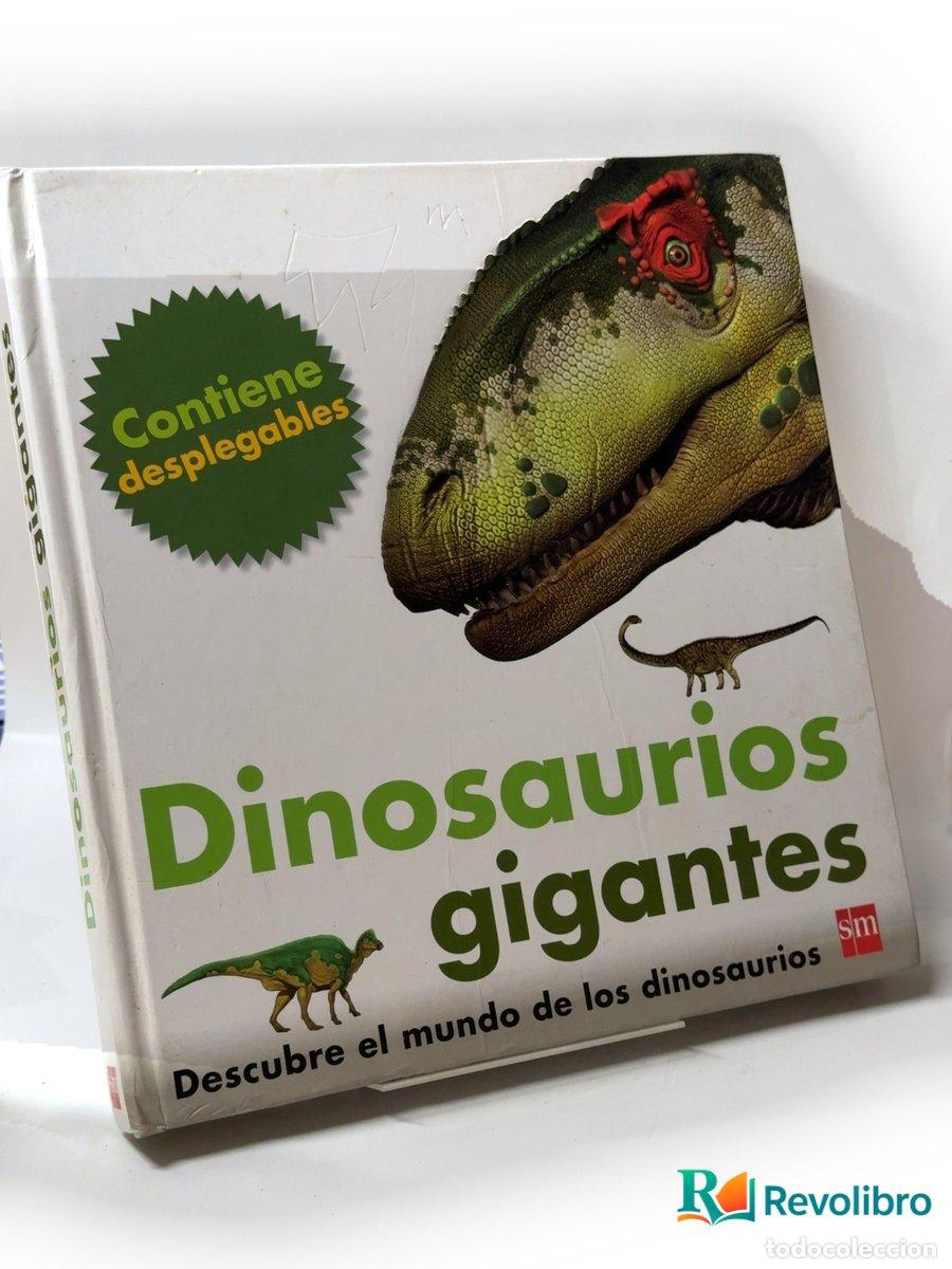 Libros de segunda mano: Dinosaurios gigantes - Autor no identificado