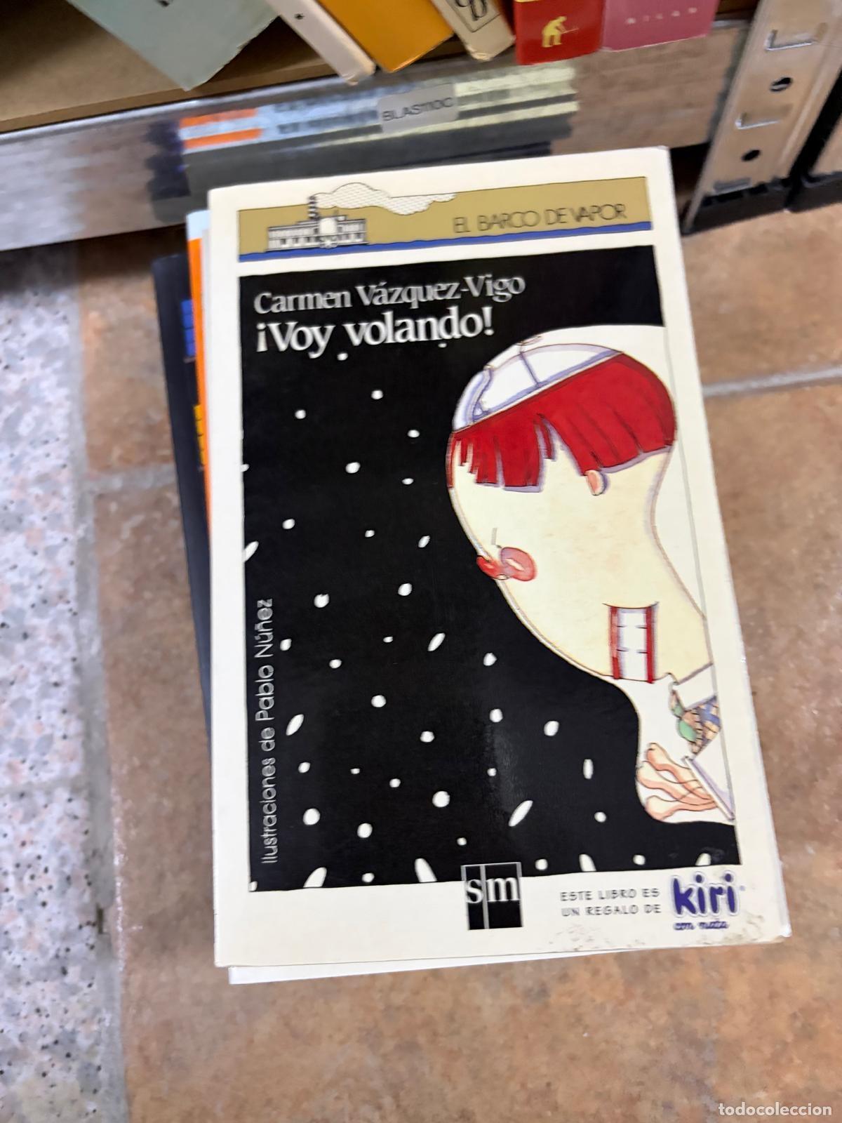 Libros de segunda mano: BLAS110C &iexcl;Voy volando! Carmen V&aacute;zquez-Vigo SM