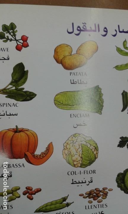Libros de segunda mano: Lexic usual catala-arab   arab-catala - Foto 5