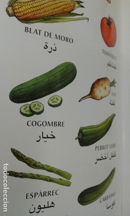 Libros de segunda mano: Lexic usual catala-arab   arab-catala - Foto 6