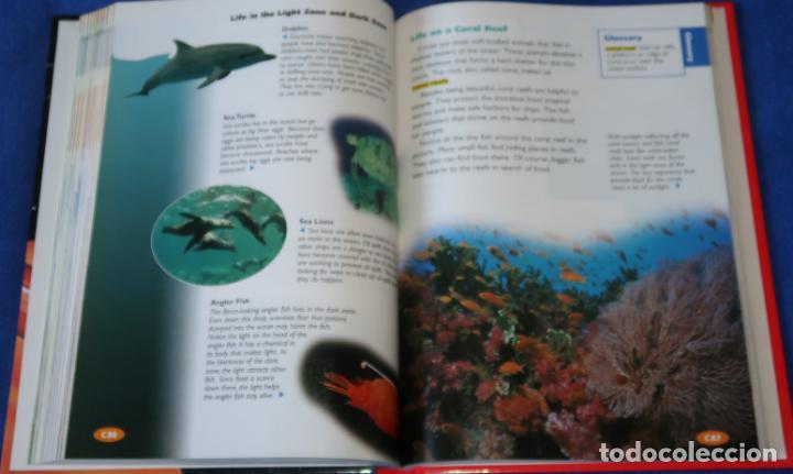 Libros de segunda mano: Sciencie - Grade 4 - Scott Foresman (2003) - Foto 6