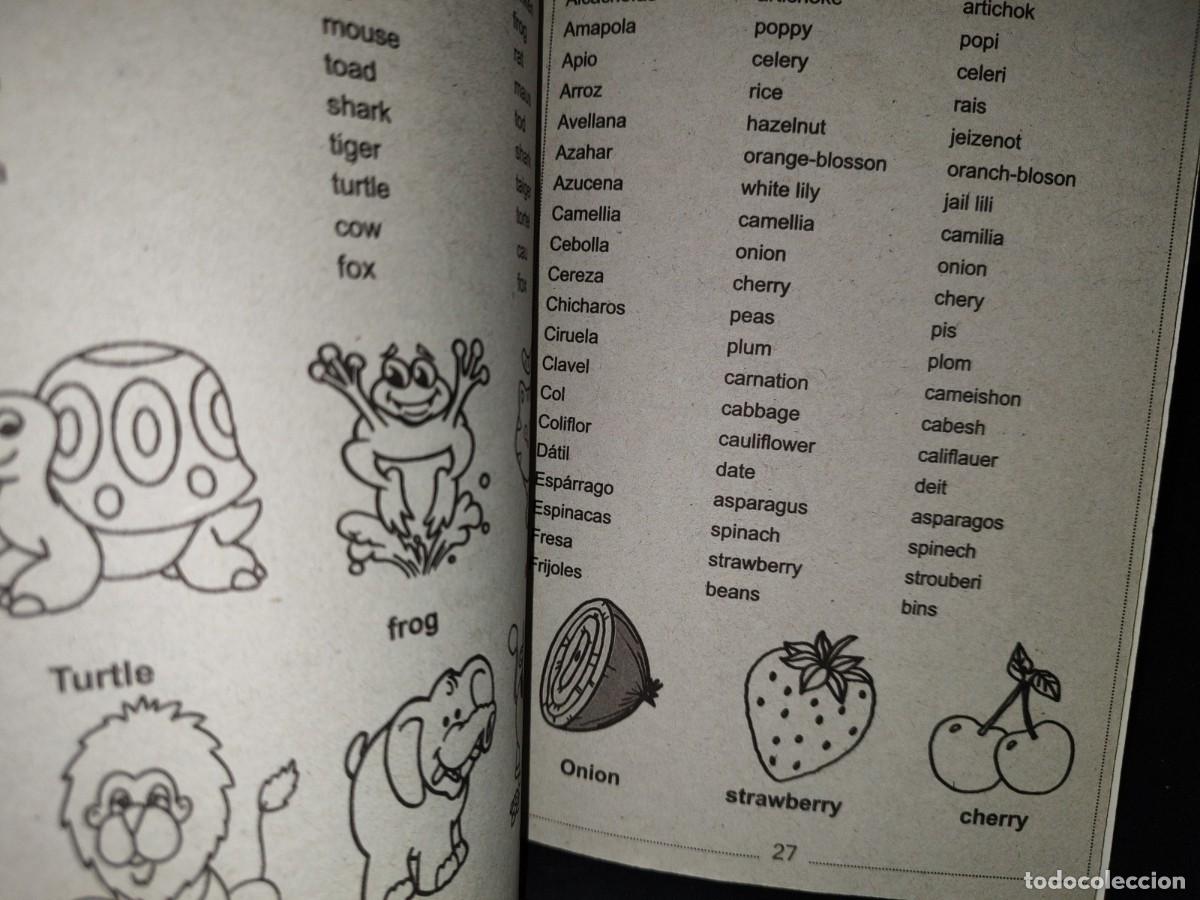 Libros de segunda mano: 164- GU&Iacute;A PR&Aacute;CTICA PARA APRENDER INGL&Eacute;S - Foto 4