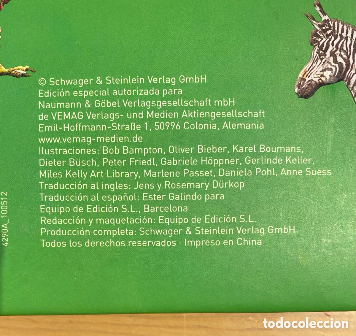 Libros de segunda mano: MIS PRIMERAS 1000 PALABRAS EN INGL&Eacute;S - Foto 7