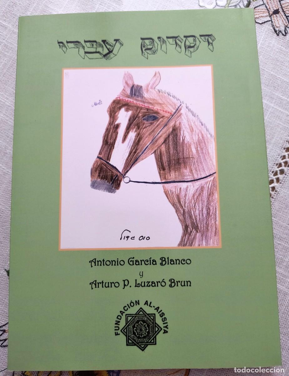 Libros de segunda mano: GRAM&Aacute;TICA HEBREA DE BLANCO Y LUZAR&Oacute; - Foto 2