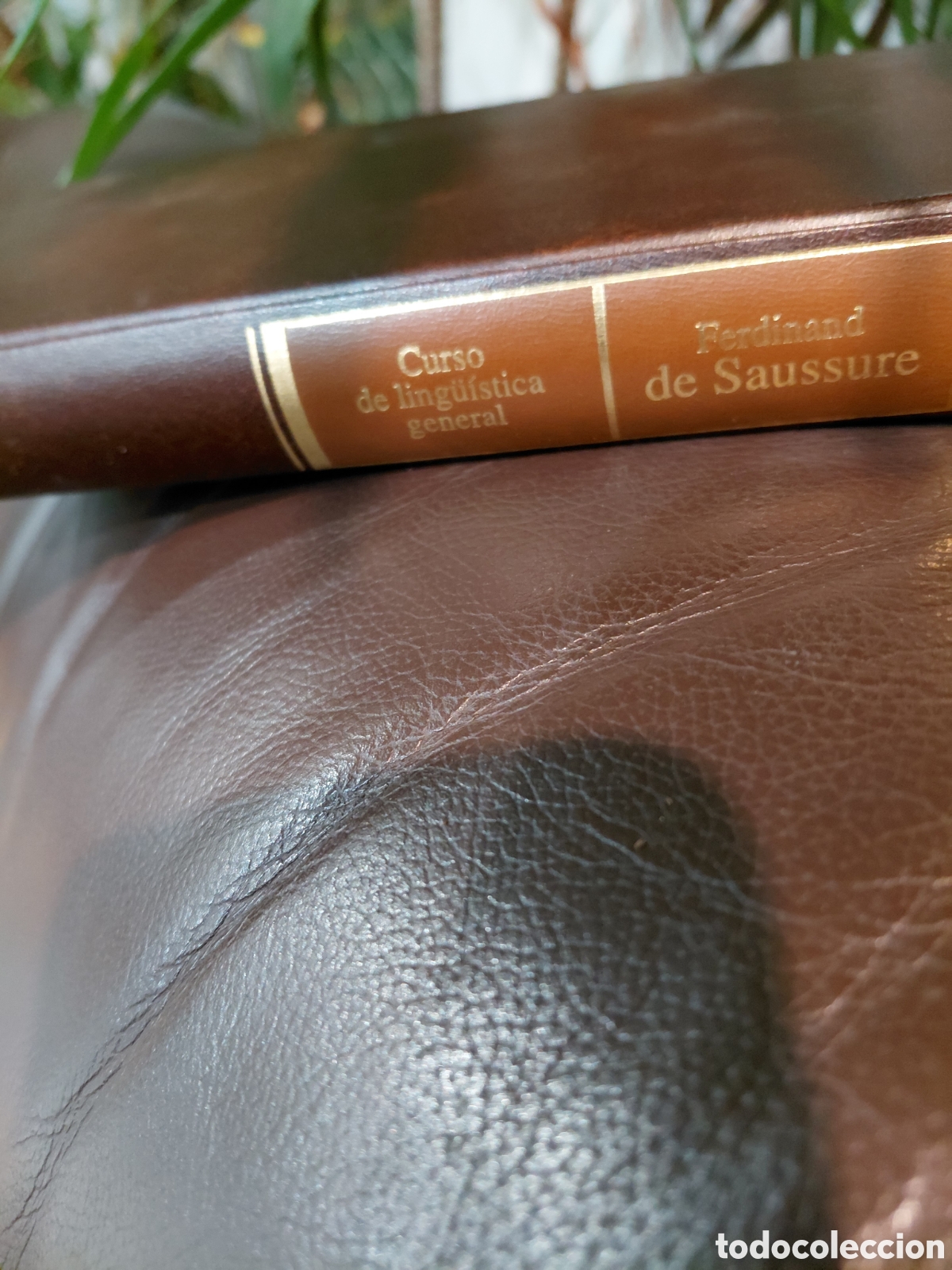 Libros de segunda mano: Ferdinand De Saussure. Curso de ling&uuml;&iacute;stica general - Foto 2