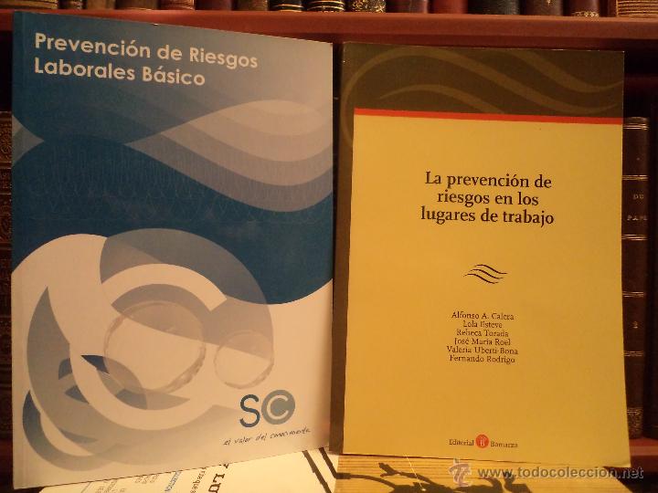 Gebrauchte B&uuml;cher: LA PREVENCI&Oacute;N DE RIESGOS EN LOS LUGARES DE TRABAJO. PREVENCI&Oacute;N DE RIESGOS LABORALES B&Aacute;SICO.
