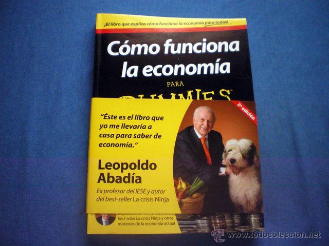 Como Funciona La Economia Para Dummies Pdf