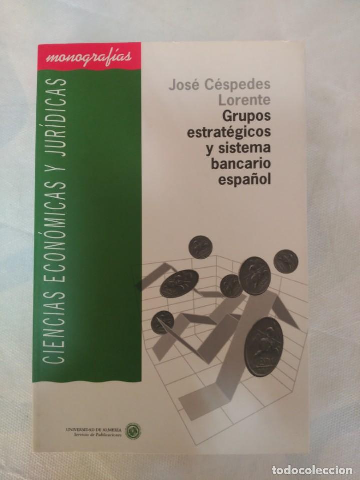 Libros de segunda mano: GRUPOS ESTRATEGICOS Y SISTEMA BANCARIO ESPA&Ntilde;OL UNIVERSIDAD DE ALMERIA JOSE CESPEDES LORENTE
