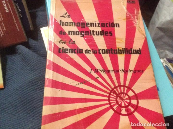 Second hand books: HOMOGENIZACION DE MAGNITUDES EN LA CIENCIA DE LA CONTABILIDAD