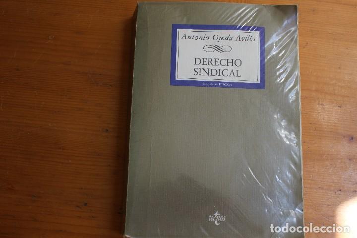 Libros de segunda mano: DERECHO SINDICAL ANTONIO OJEDA AVIL&Eacute;S - Foto 1