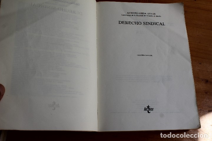 Libros de segunda mano: DERECHO SINDICAL ANTONIO OJEDA AVIL&Eacute;S - Foto 2