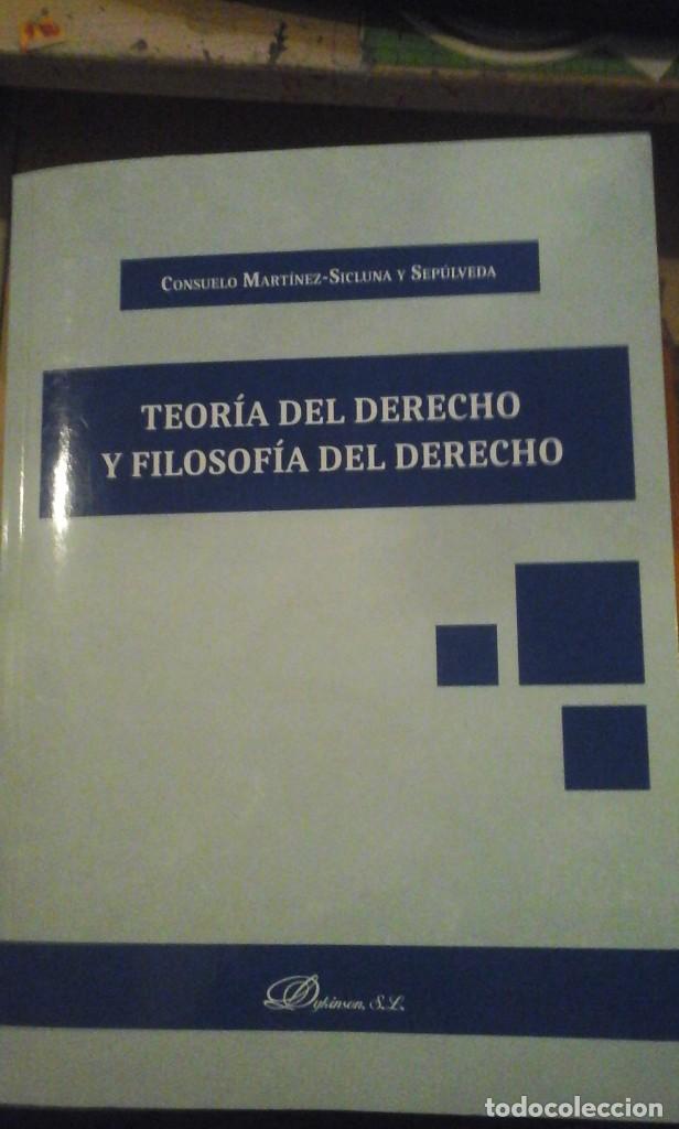 Libros de segunda mano: TEOR&Iacute;A DEL DERECHO Y FILOSOF&Iacute;A DEL DERECHO (Madrid, 2017)