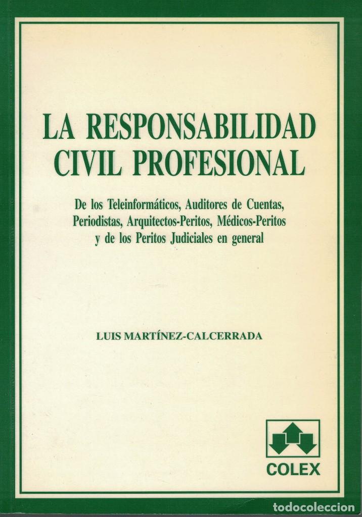 Libri di seconda mano: La Responsabilidad Civil Profesional: Teleinform&aacute;ticos Auditores de Cuentas Periodistas Arquitectos