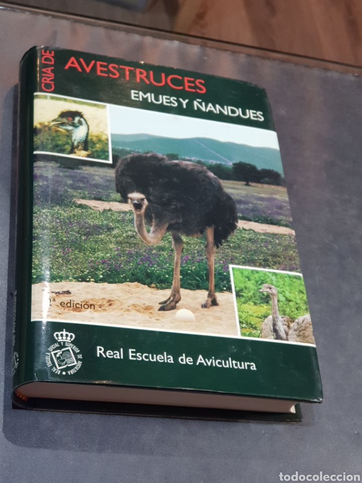 Gebrauchte B&uuml;cher: Libro cr&iacute;a de avestruces emues Real Escuela de Avicultura