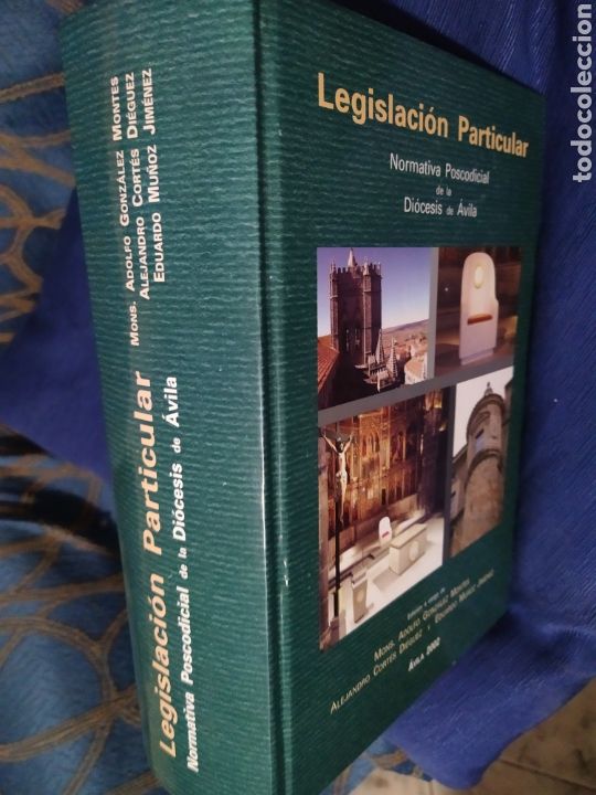 Libri di seconda mano: Legislaci&oacute;n particular Normativa Pos oficial Di&oacute;cesis de &Aacute;vila Adolfo Gonz&aacute;lez Alejandro Cort&eacute;s y