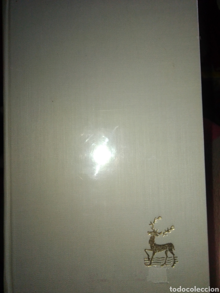 Libros de segunda mano: Nuevo Derecho Can&oacute;nico - Foto 4