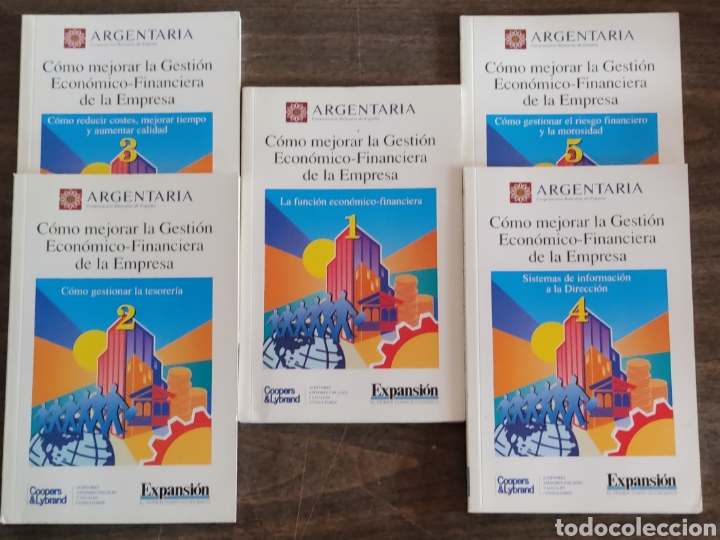 Libros de segunda mano: C&Oacute;MO MEJORAR LA GESTI&Oacute;N ECON&Oacute;MICO-FINANCIERA DE LA EMPRESA - Expansion, JL Cayuela, 1993