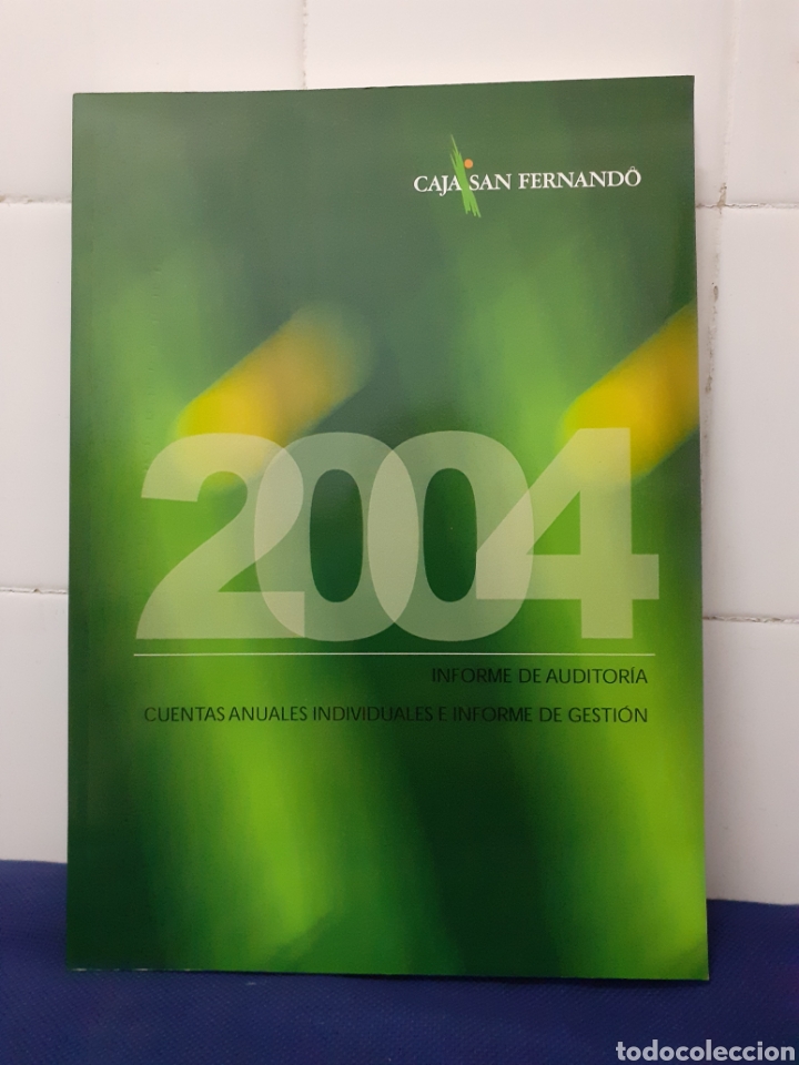 Gebrauchte B&uuml;cher: 2004 INFORME DE AUDITORIA, CUENTAS ANUALES INDIVIDUALES E INFORME DE GESTION, ESTADO NUEVO