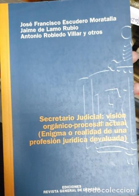 Libri di seconda mano: SECRETARIO JUDICIAL: VISION ORGANICO-PROCESAL ACTUAL (ENIGMA O REALIDAD DE UNA PROFESION JURIDICA D