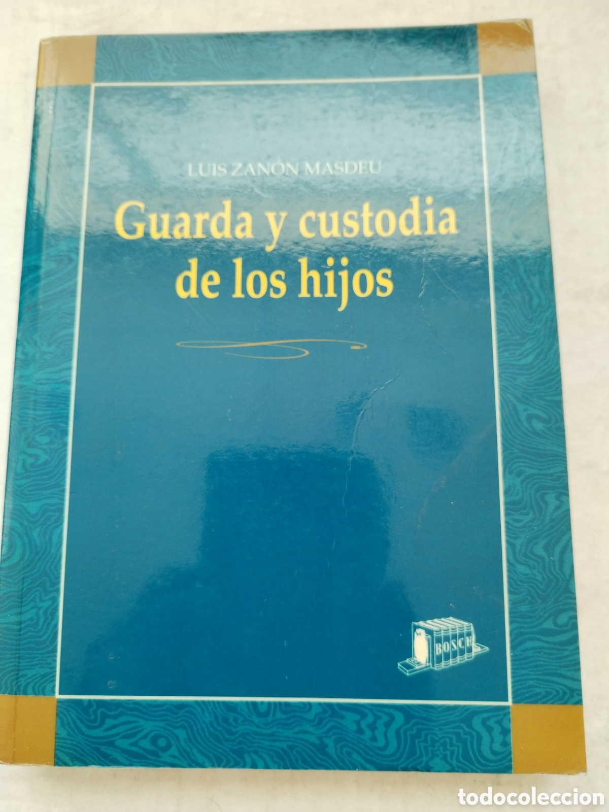 Libri di seconda mano: GUARDA Y CUSTODIA DE LOS HIJOS