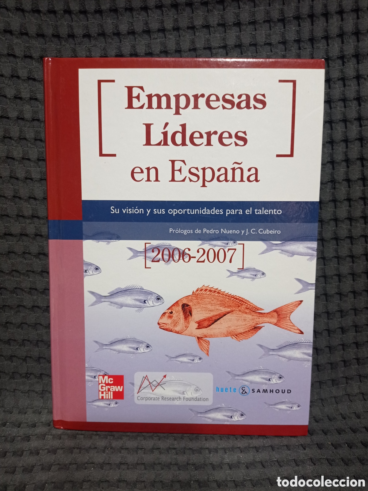 Libros de segunda mano: Empresas l&iacute;deres en Espa&ntilde;a (2006-2007) - Foto 2