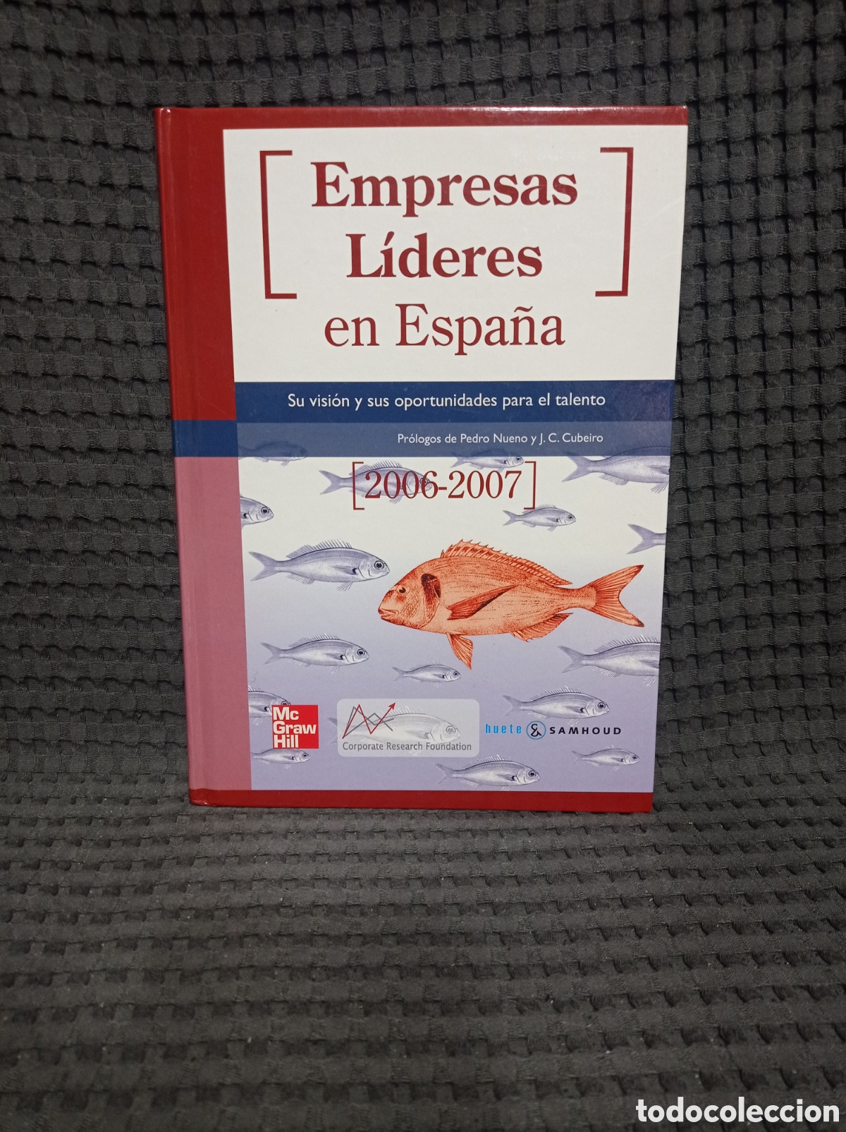 Libros de segunda mano: Empresas l&iacute;deres en Espa&ntilde;a (2006-2007) - Foto 1