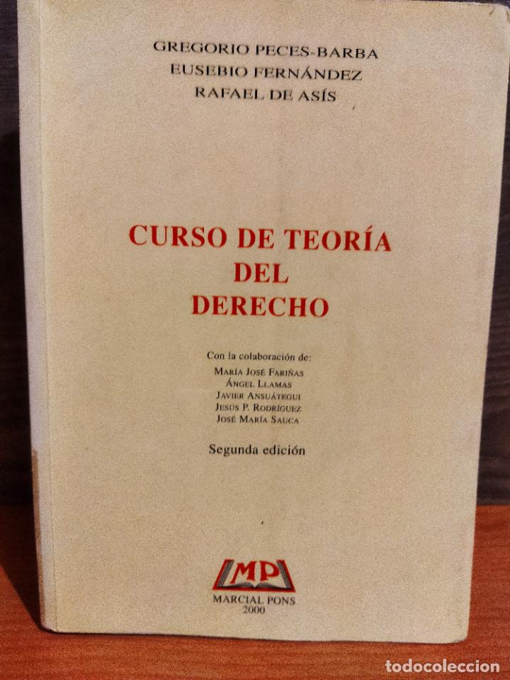 Libri di seconda mano: Cursi de teor&iacute;a del derecho