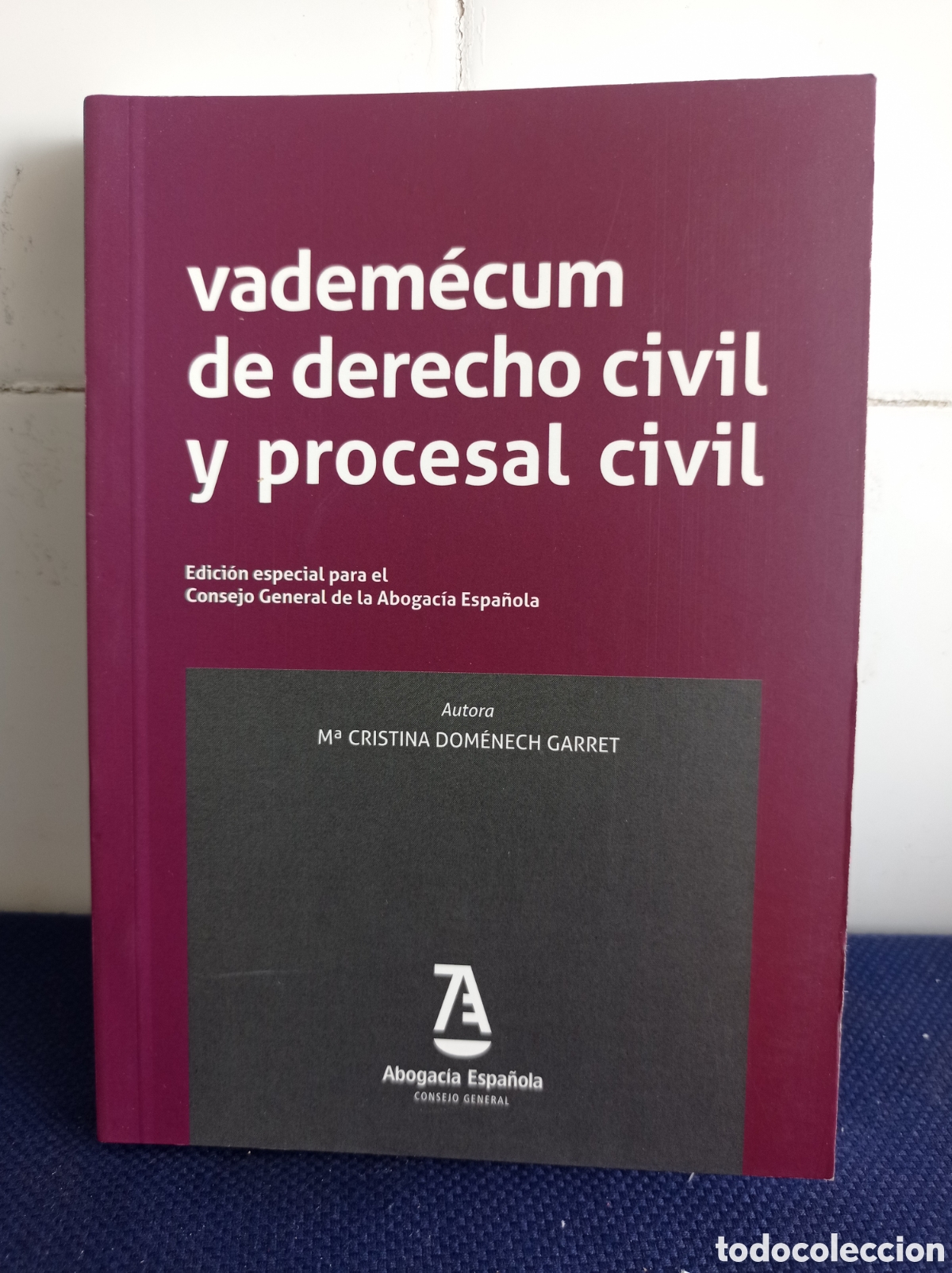 Libri di seconda mano: VADEMECUM DE DERECHO CIVIL Y PROCESAL CIVIL, MARIA CRISTINA DOMENECH GARRET, ESTADO EXCELENTE