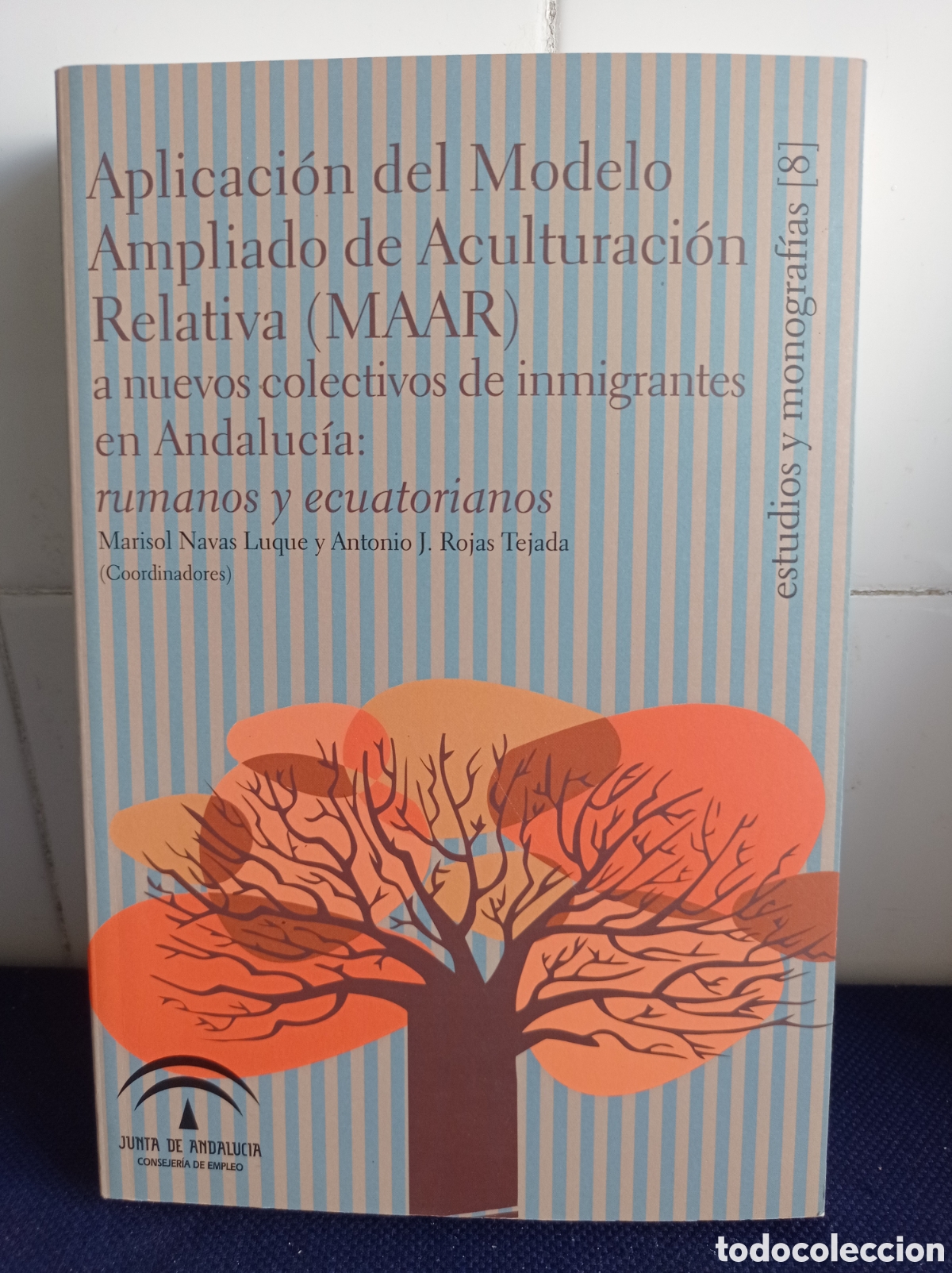 Libros de segunda mano: APLICACION DEL MODELO AMPLIADO DE ACULTURACION RELATIVA, ESTADO EXCELENTE