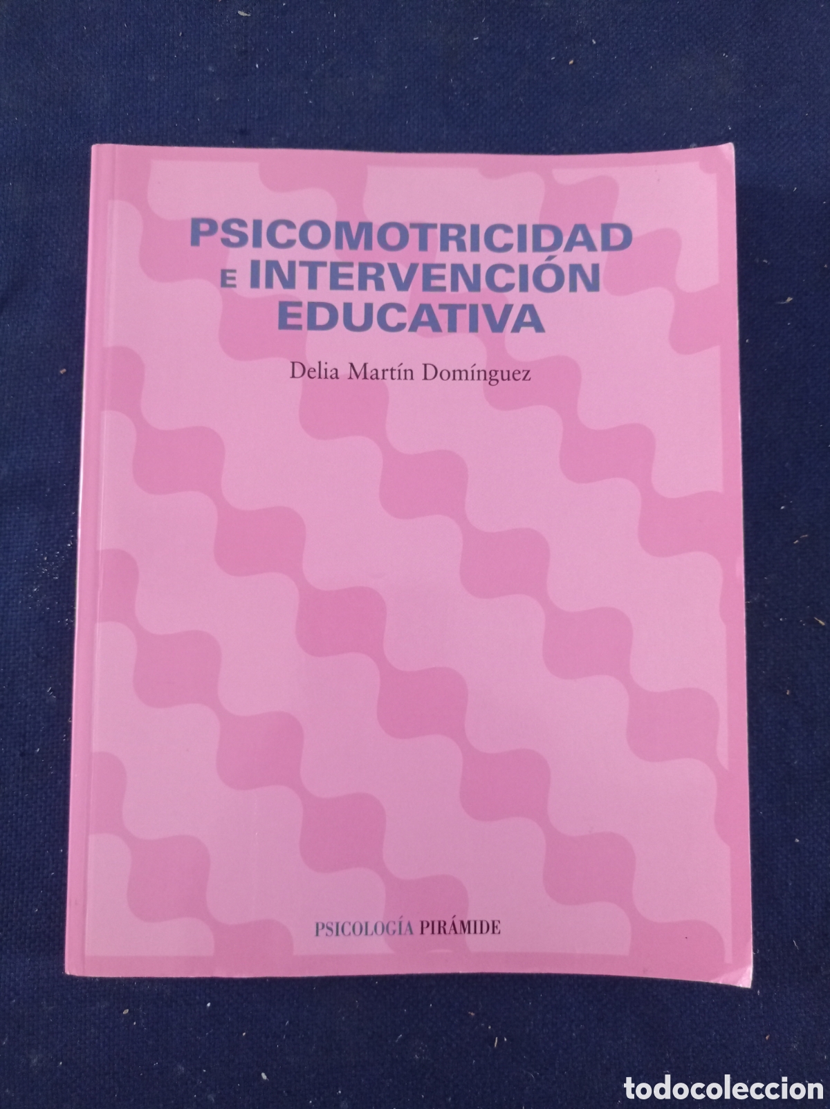 Gebrauchte B&uuml;cher: PSICOMOTRICIDAD E INTERVENCION EDUCATIVA, DELIA MARTIN DOMINGUEZ