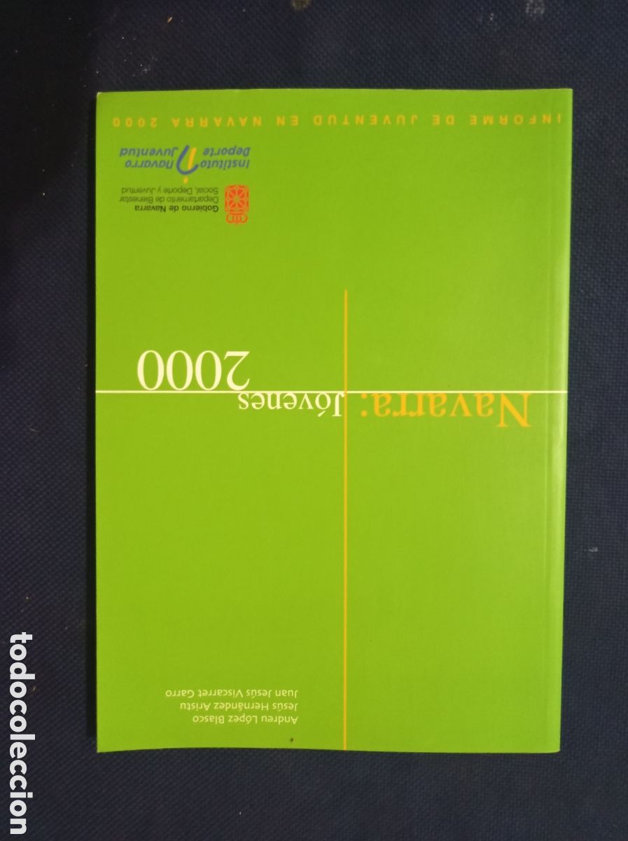 Libros de segunda mano: NAVARRA JOVENES 2000, INFORME DE JUVENTUD EN NAVARRA 2000, BUEN ESTADO