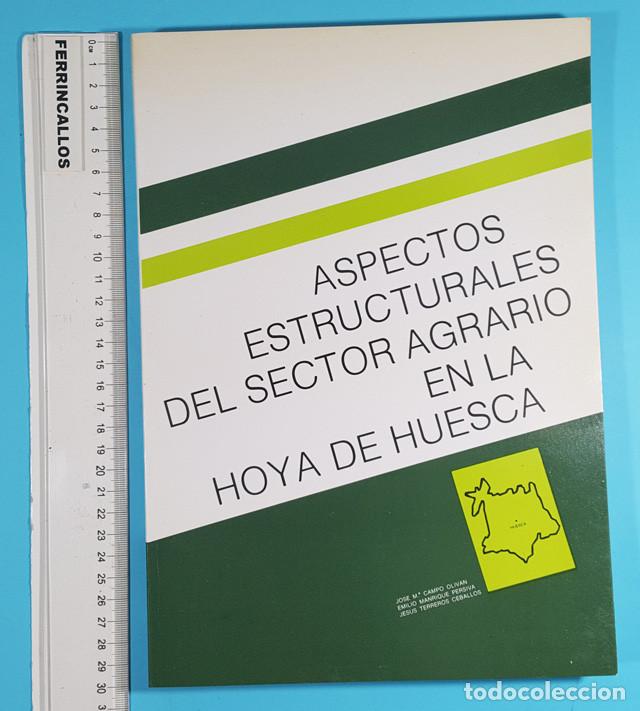 Gebrauchte B&uuml;cher: ASPECTOS ESTRUCTURALES DEL SECTOR AGRARIO EN LA HOYA DE HUESCA, CAMPO,MANRIQUE,TERREROS 1984 276 PAG