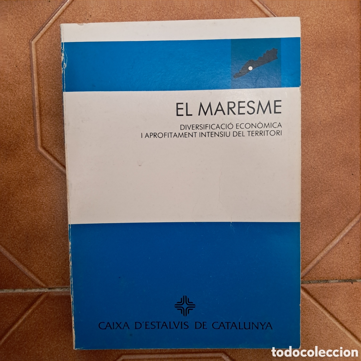 Gebrauchte B&uuml;cher: EL MARESME, Diversificaci&oacute; econ&oacute;mica i aprofitament intensiu del territori -1988