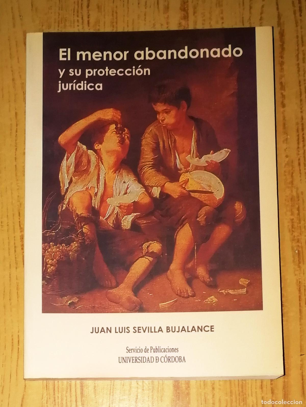 Libri di seconda mano: EL MENOR ABANDONADO Y SU PROTECCI&Oacute;N JUR&Iacute;DICA / Juan Luis Sevilla Bujalance. Universidad C&oacute;rdoba 2002