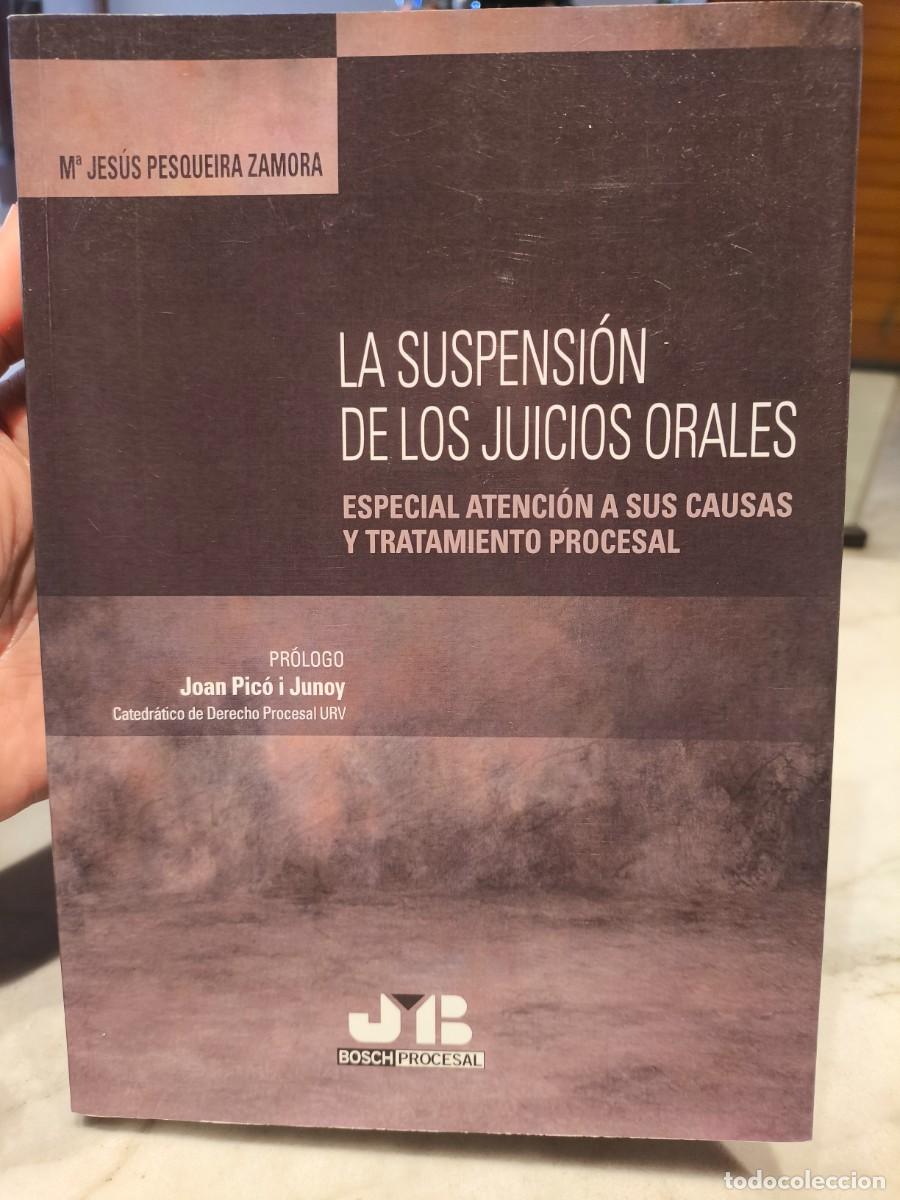 Libros de segunda mano: M&ordf; Jes&uacute;s Pesqueira Zamora La suspensi&oacute;n de los juicios orales: Especial atenci&oacute;n a sus causas y trat
