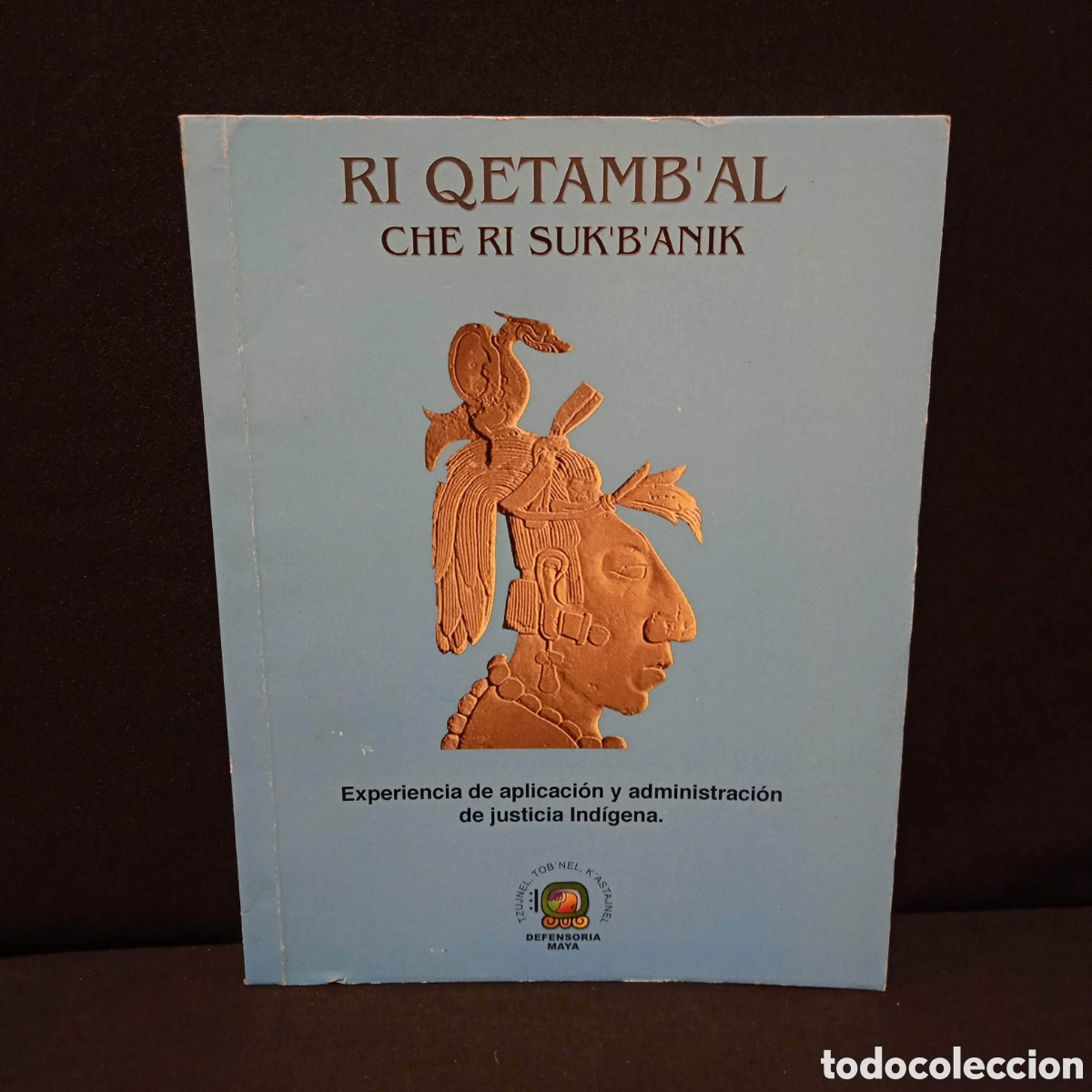 Libros de segunda mano: EXPERIENCIA DE APLICACI&Oacute;N Y ADMINISTRACI&Oacute;N DE JUSTICIA IND&Iacute;GENA - RI QETAMB'AL CHE RI SUK'B'NIK