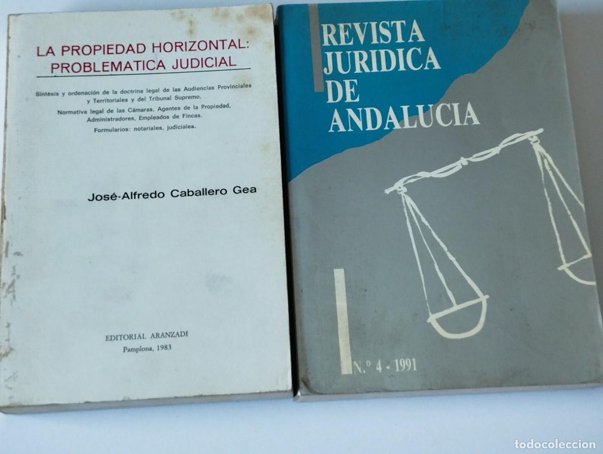 Libros de segunda mano: 2 LIBROS DERECHO VER FOTO