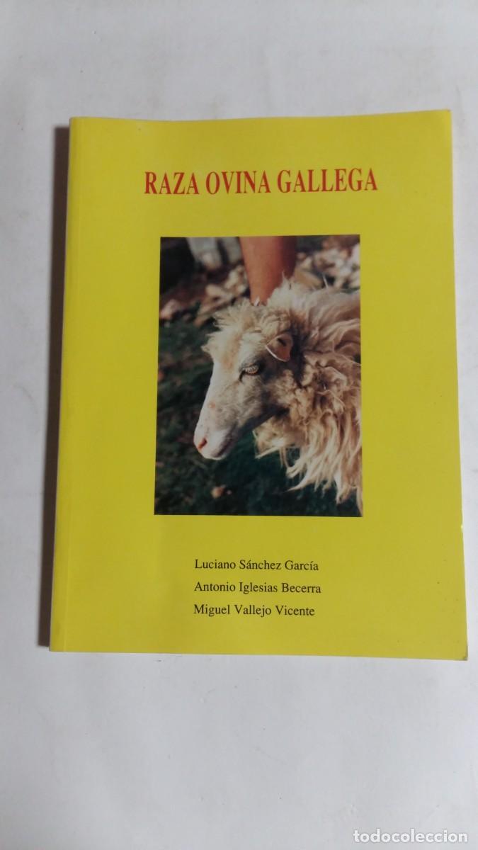 Libros de segunda mano: Raza Ovina Gallega, V.V.A.A., Edita Diputaci&oacute;n Provincial de Lugo