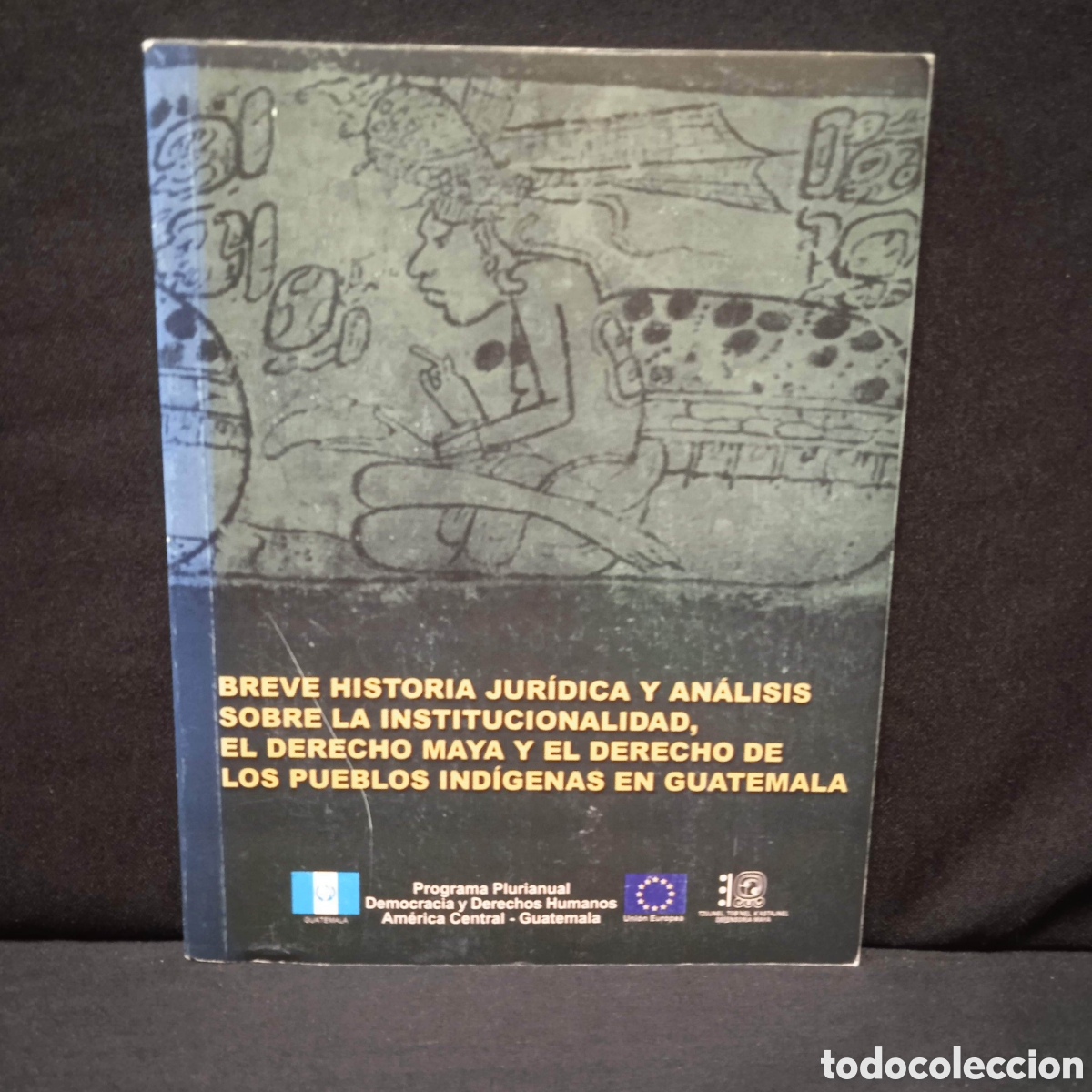Libri di seconda mano: BREVE HISTORIA JUR&Iacute;DICA Y AN&Aacute;LISIS SOBRE EL DERECHO MAYA Y DE LOS PUEBLOS IND&Iacute;GENAS EN GUATEMALA